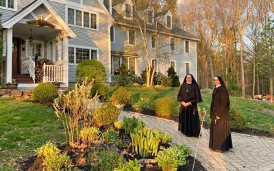 Sisters MICM Online!