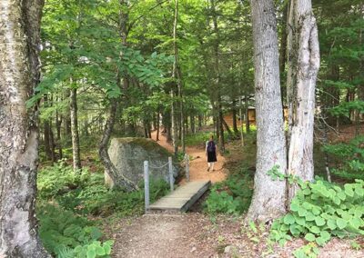 Beautiful creation of God