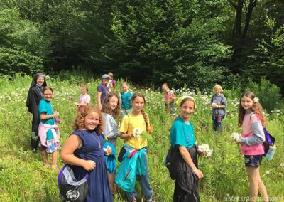 Field of wild flowers