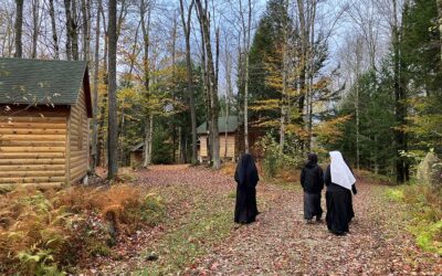 Preparing Montfort for Winter