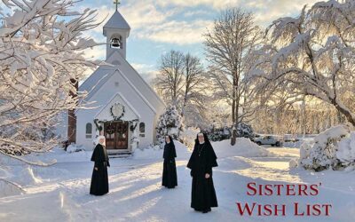 Christmas Wish List 2025