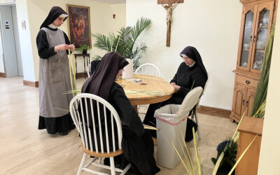 Palms for Palm Sunday