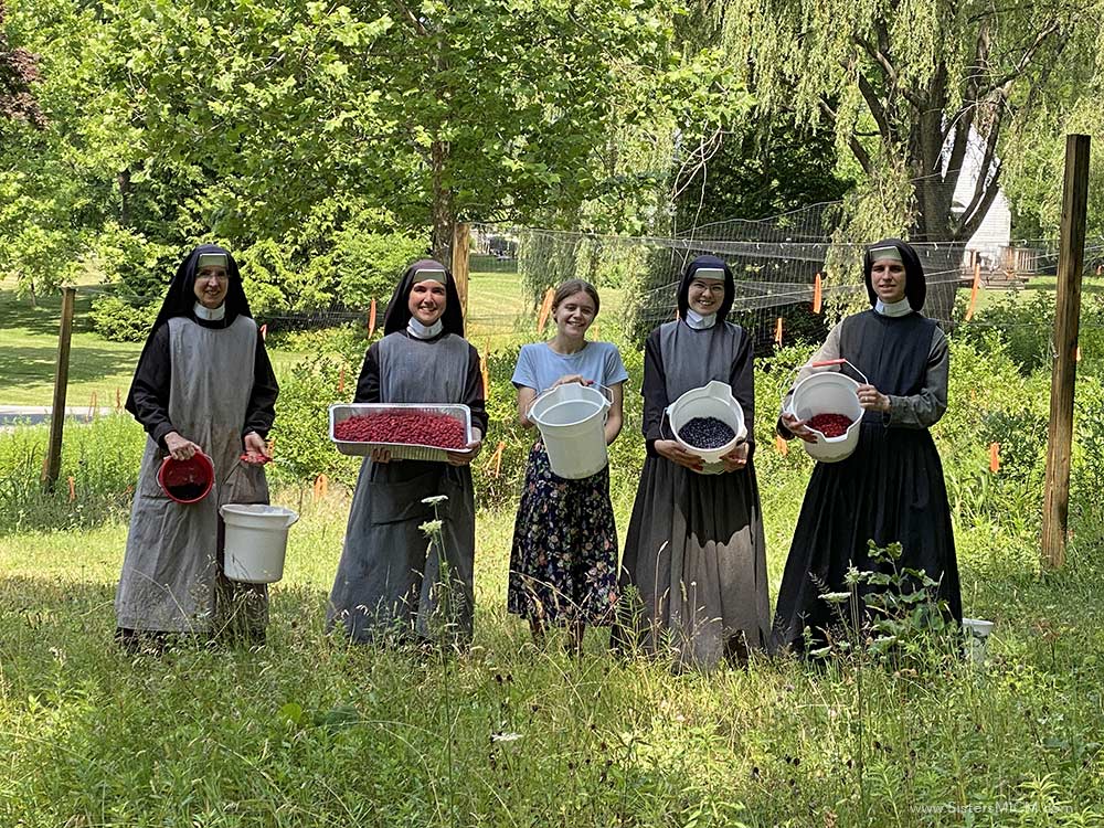 Berry Pickers Sisters MICM berry pickers at work!