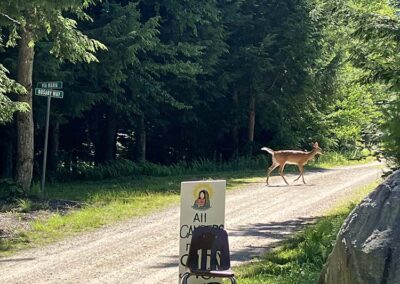 Morning Star Camp 2026 - deer crossing